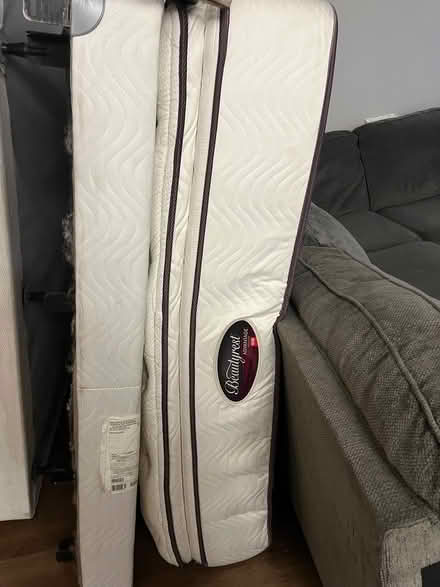 Photo of free Queen mattress, box spring,frame (Edina by Southdale) #1