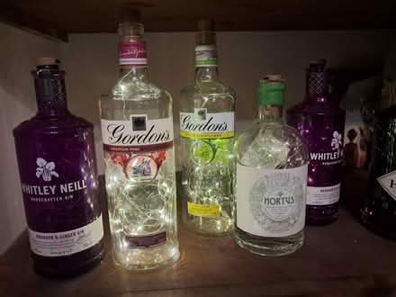 Photo of free Decorative lights in bottles (OX25, Weston on the green) #1