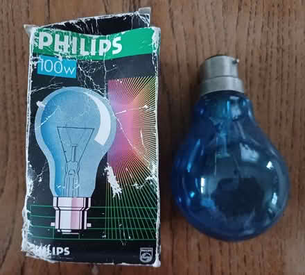 Photo of free Incandescent Daylight Bulb 100w. (Chichester PO19) #1