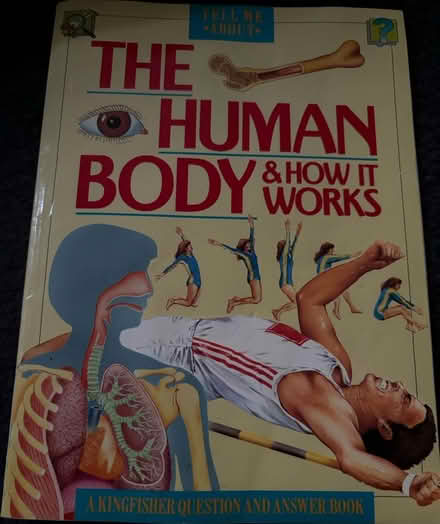 Photo of free Kids books (Grays) #2