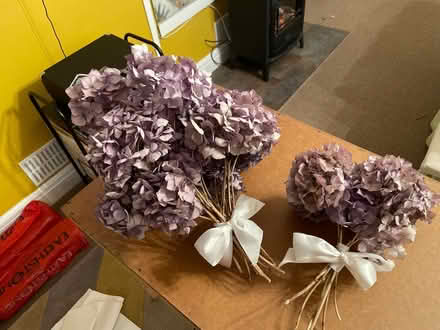 Photo of free Dried Hydrangeas from our garden (Harrogate HG2) #1
