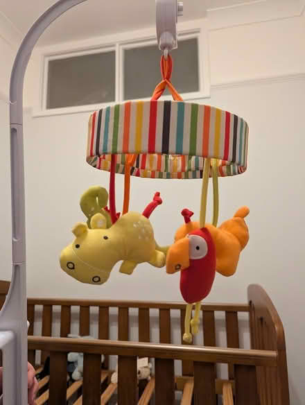 Photo of free Mobile for cot (S10 Crookes) #2