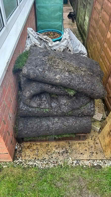 Photo of free Lawn turf (Sawston CB22) #1