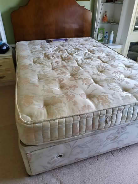 Photo of free Quality dbl bed (Bexhill on Sea) #4