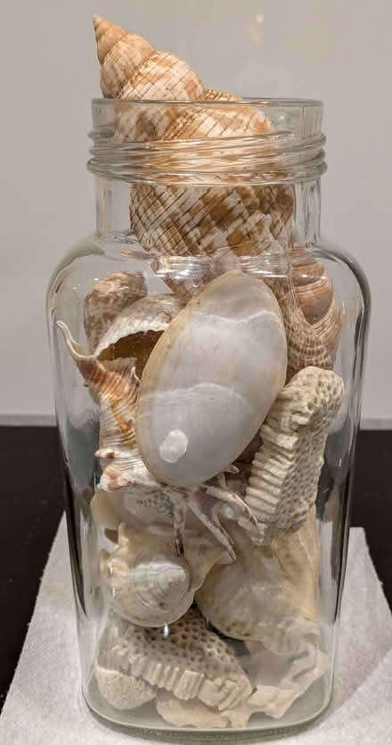 Photo of free Jar of seashells (Finstall B60) #2