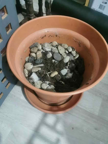 Photo of free Large plant pot with stones (Longsight M12) #1
