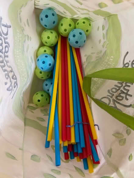 Photo of free Ball and stick fort set (NE DC 20018) #1