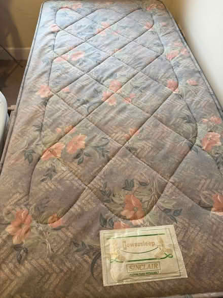 Photo of free Single bed (LE2 (London road)) #1