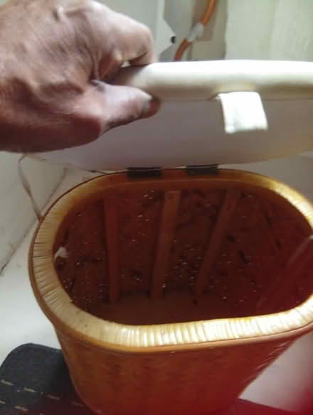 Photo of free Laundry basket (Penge East) #1