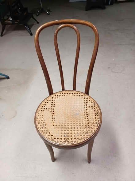 Photo of free Cane chair (damaged) (Carlingwood) #1