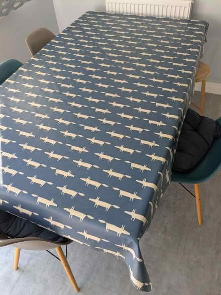 Photo of free Oilskin table cloth (Banister Park SO15) #1