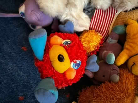 Photo of free Lots of Soft toys (Streatham Hill) #4