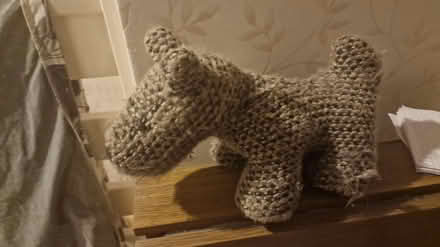 Photo of free Dog door stop (Kirk Hallam DE7) #1