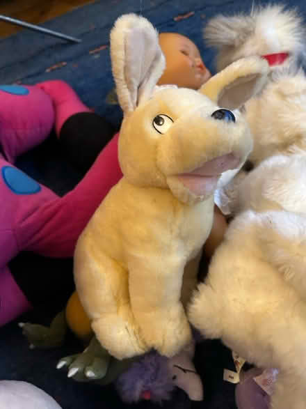 Photo of free Lots of Soft toys (Streatham Hill) #3