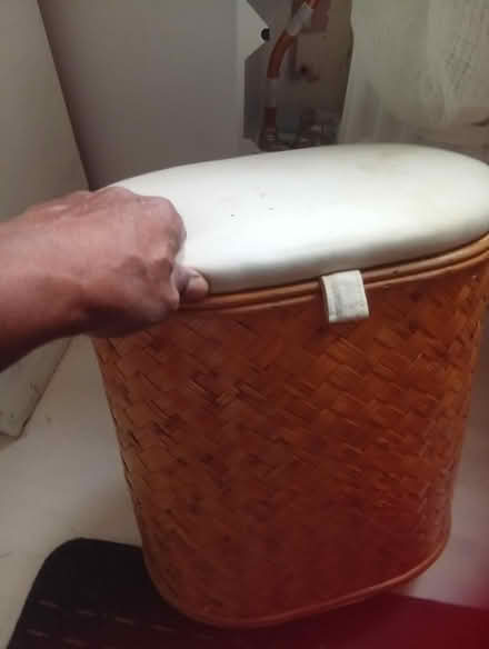 Photo of free Laundry basket (Penge East) #3