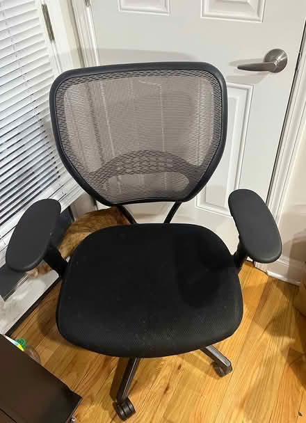 Photo of free Office chair (Devon and Western area) #1