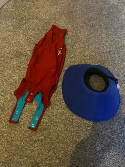 Photo of free Cats Collar and Bodysuit (Tadworth KT20) #1