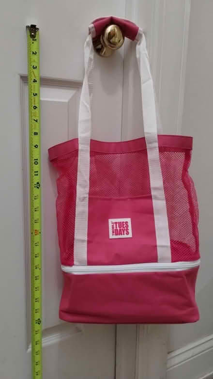 Photo of free Soft sided cooler/mesh bag (Haymarket/Westerly Parkway) #1