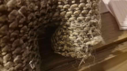 Photo of free Dog door stop (Kirk Hallam DE7) #2