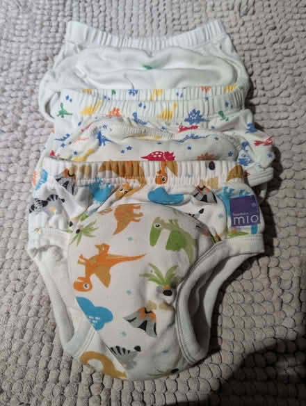 Photo of free Potty training pants age 2 to 3 yrs (Caversham RG4) #2