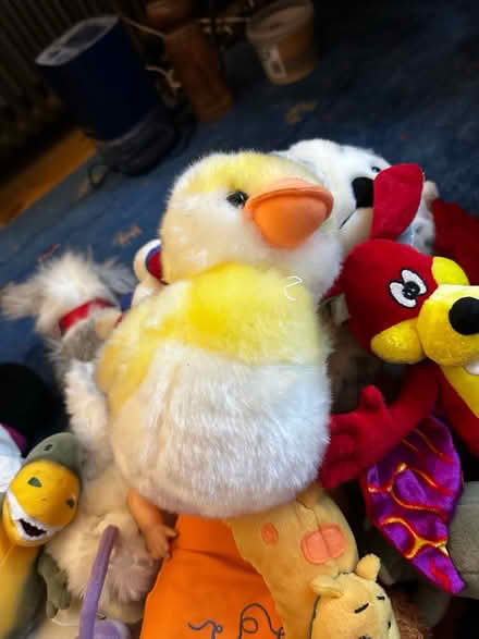 Photo of free Lots of Soft toys (Streatham Hill) #1
