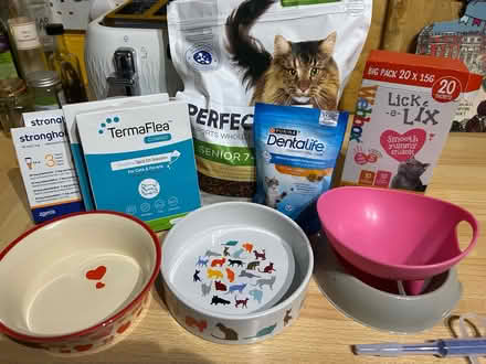Photo of free Cat paraphernalia and food (Herne Hill SE24) #1