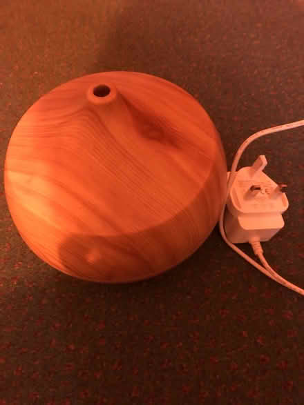 Photo of free Diffuser (N19 archway) #1