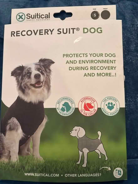 Photo of free Dog Surgical Recovery Suit (Columbia, MD) #1