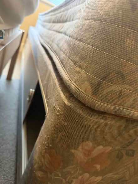 Photo of free Single bed (LE2 (London road)) #4