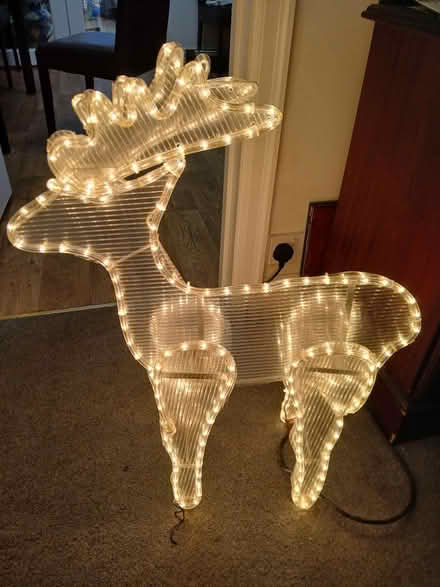 Photo of free Light up reindeer (Orton Wistow) #2