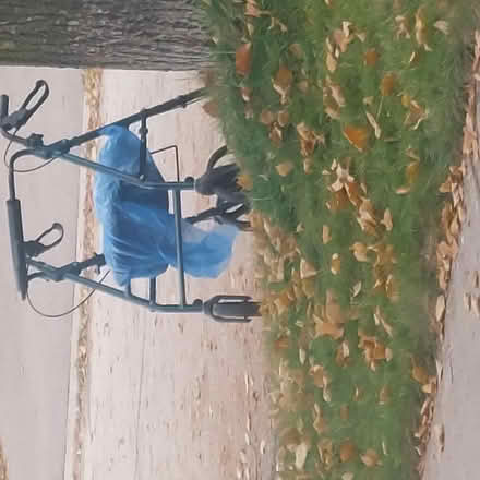 Photo of free Adult walker (Winston Churchill/Liard road) #1