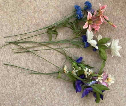 Photo of free Plastic flowers (Westbury on Trym BS9) #3