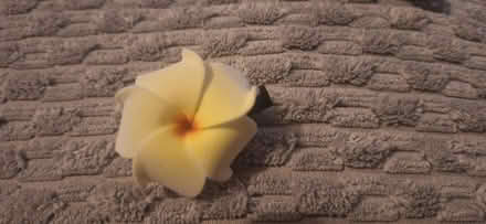 Photo of free Small flower clip (Finchley N2) #1