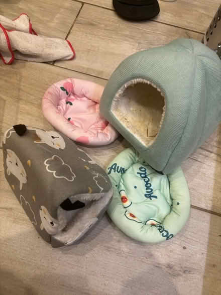 Photo of free Hamster accessories (Thornes WF2) #1