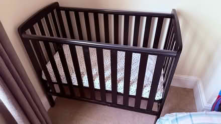Photo of free Cot (Holbrook DE56) #1