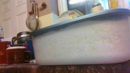 Photo of free Home made washing powder &wash crys (Bath BA2) #3