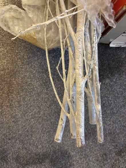 Photo of free willow canes (UpperHale GU9) #1