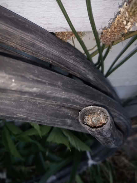 Photo of free Cable (Colchester CO4) #2