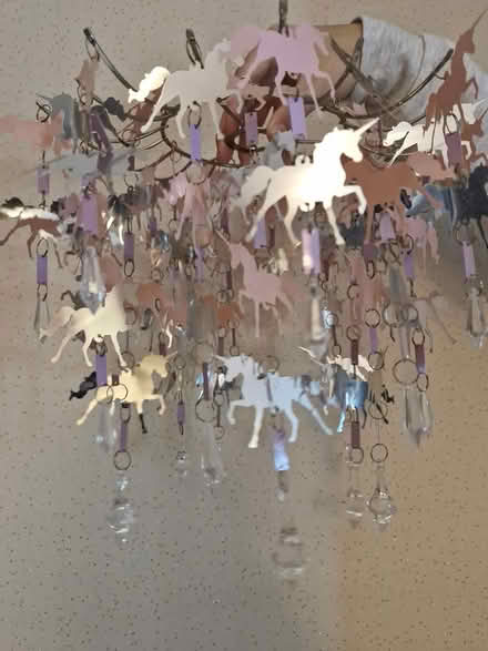 Photo of free Girls bedroom lampshade (Mickleover DE3, Derby) #2