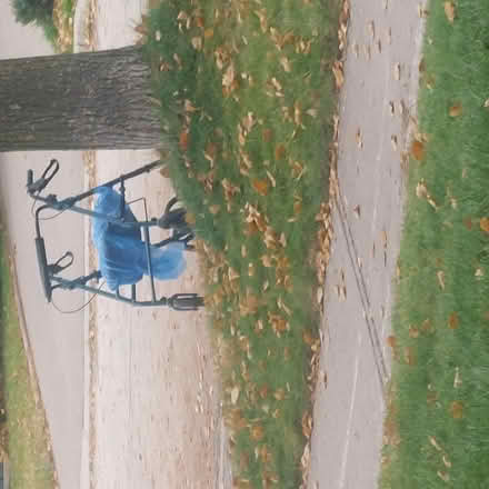 Photo of free Adult walker (Winston Churchill/Liard road) #2