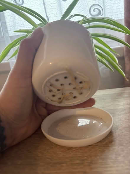 Photo of Plant pots (CV1) #3