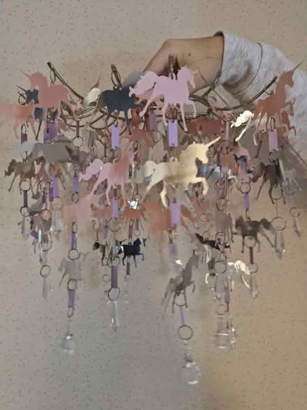 Photo of free Girls bedroom lampshade (Mickleover DE3, Derby) #1