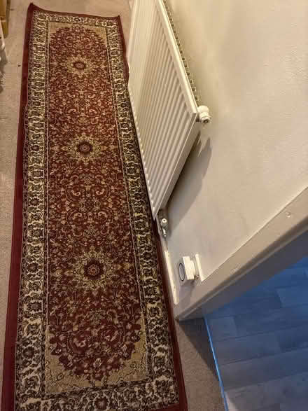Photo of free Long hallway rug (M23) #2