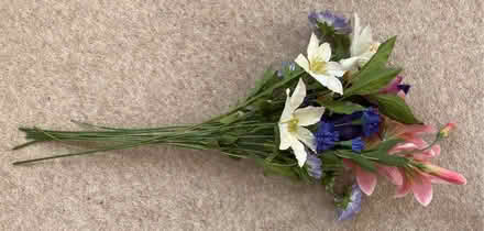 Photo of free Plastic flowers (Westbury on Trym BS9) #1