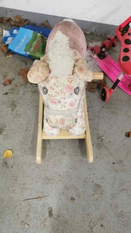 Photo of free Rocking dog (TW19) #1