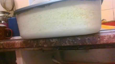 Photo of free Home made washing powder &wash crys (Bath BA2) #2