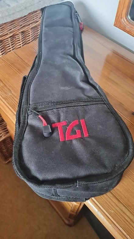 Photo of free Guitar case(s) (Burnham SL1) #1