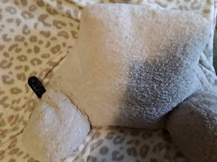 Photo of free Back/Lumber Support Cushion (Burneside LA8) #3