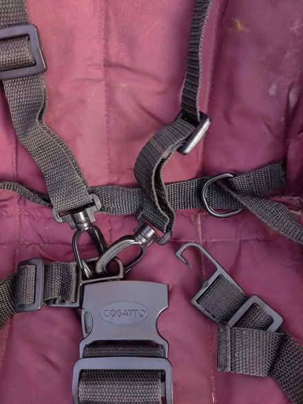 Photo of free Cosatto purple buggy with foot muff and rain cover (Woodley RG6) #4