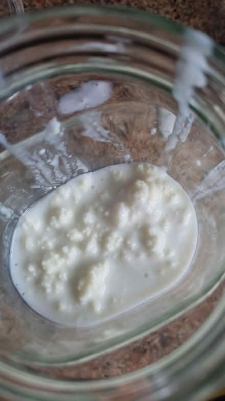 Photo of free Life kefir (St albans AL4) #1